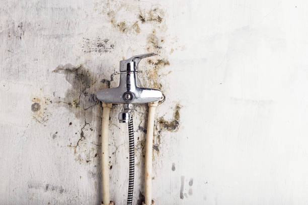 Water Damage Restoration in Calistoga, CA