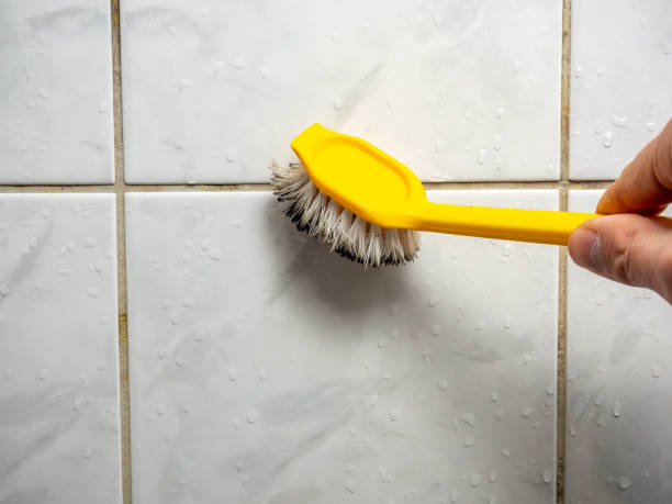 Best Same-Day Mold Removal  in Listoga, CA