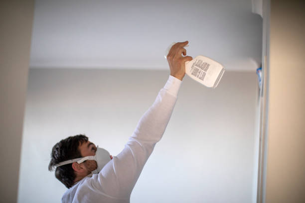 Mold Removal and Inspection in Calistoga, CA
