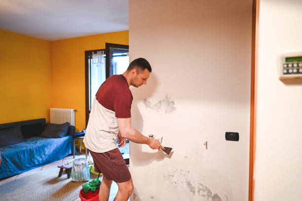 Best Mold Removal and Inspection  in Listoga, CA