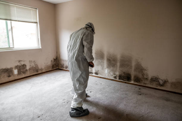 Best Crawl Space Mold Removal  in Listoga, CA